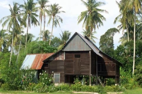 A traditional wooden village house surrounded by coconut palms and tropical greenery.